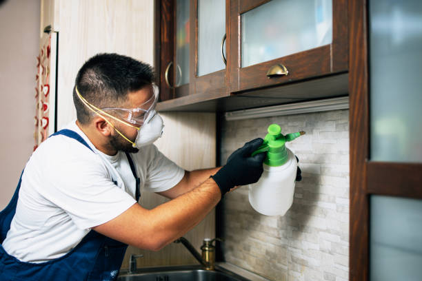 Best Bed Bug Extermination  in Lake Geneva, WI