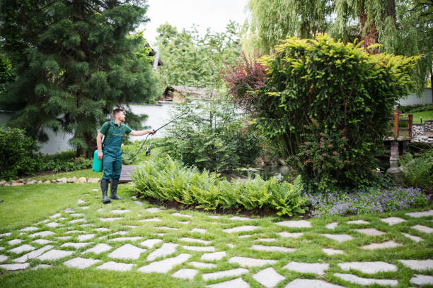 Best Bird Control  in Lake Geneva, WI