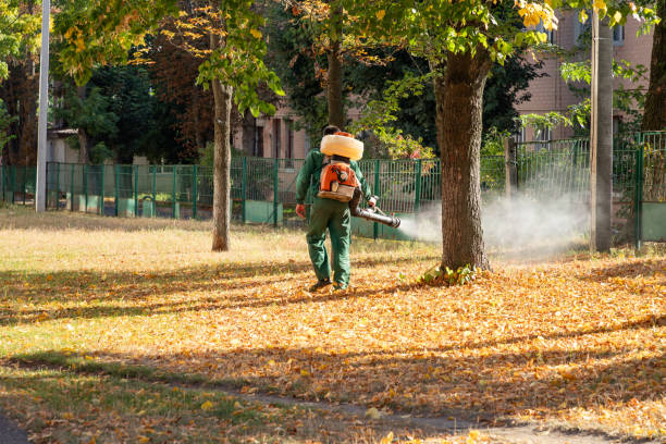 Best Rat Extermination Near Me  in Lake Geneva, WI