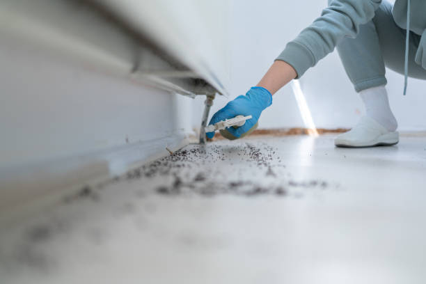 Trusted Lake Geneva, WI Pest Control Experts