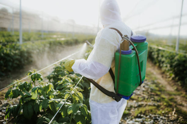 Best Residential Pest Control  in Lake Geneva, WI